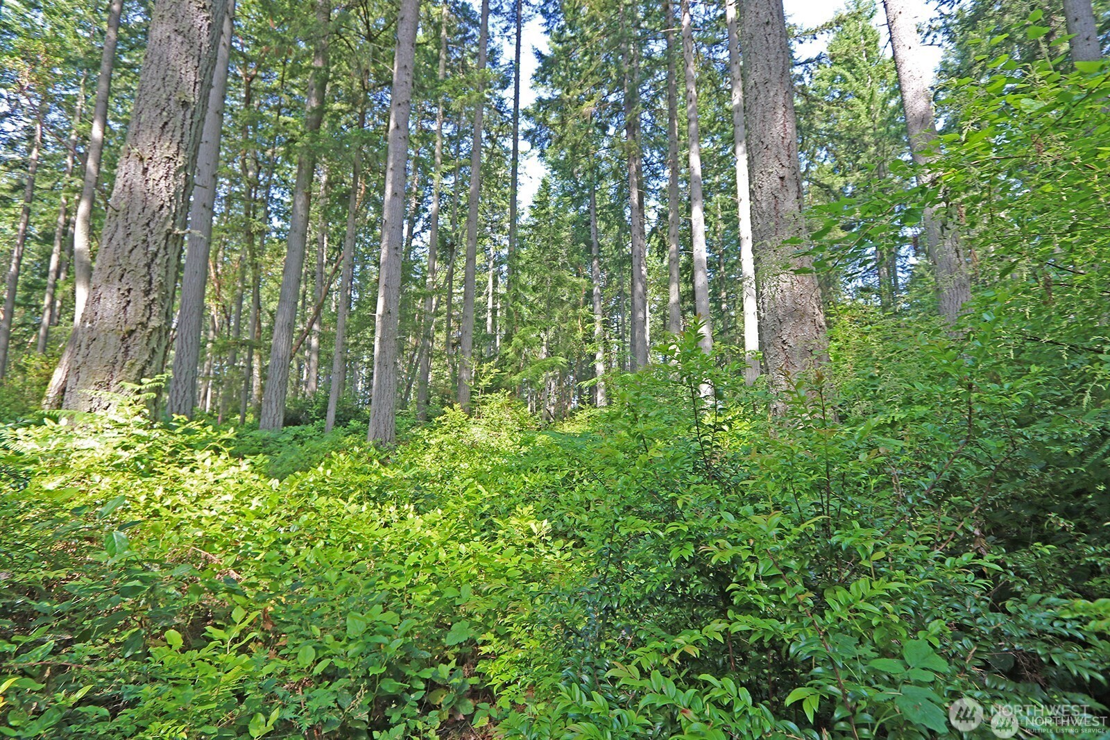 20825 Old Mill Road SW, Vashon, WA 98070