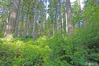 20825 Old Mill Road SW, Vashon, WA 98070 - Photo 8