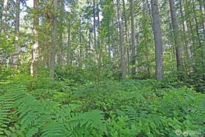 20825 Old Mill Road SW, Vashon, WA 98070 - Photo 9