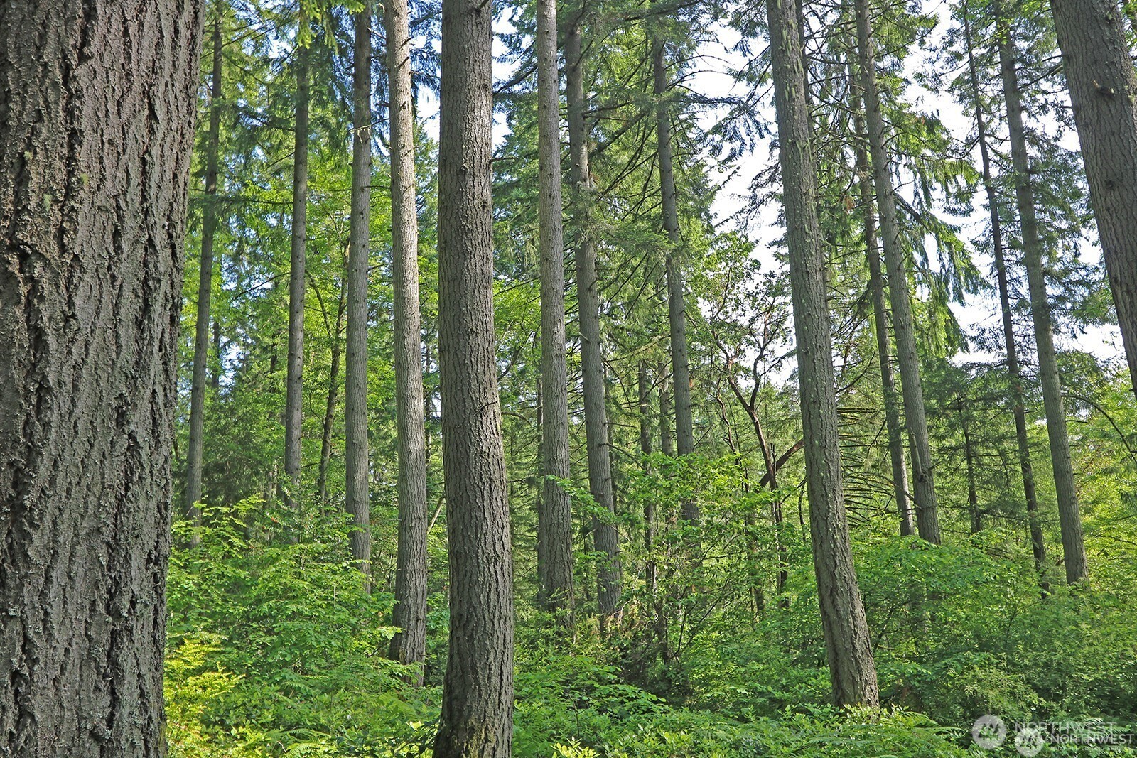 20825 Old Mill Road SW, Vashon, WA 98070