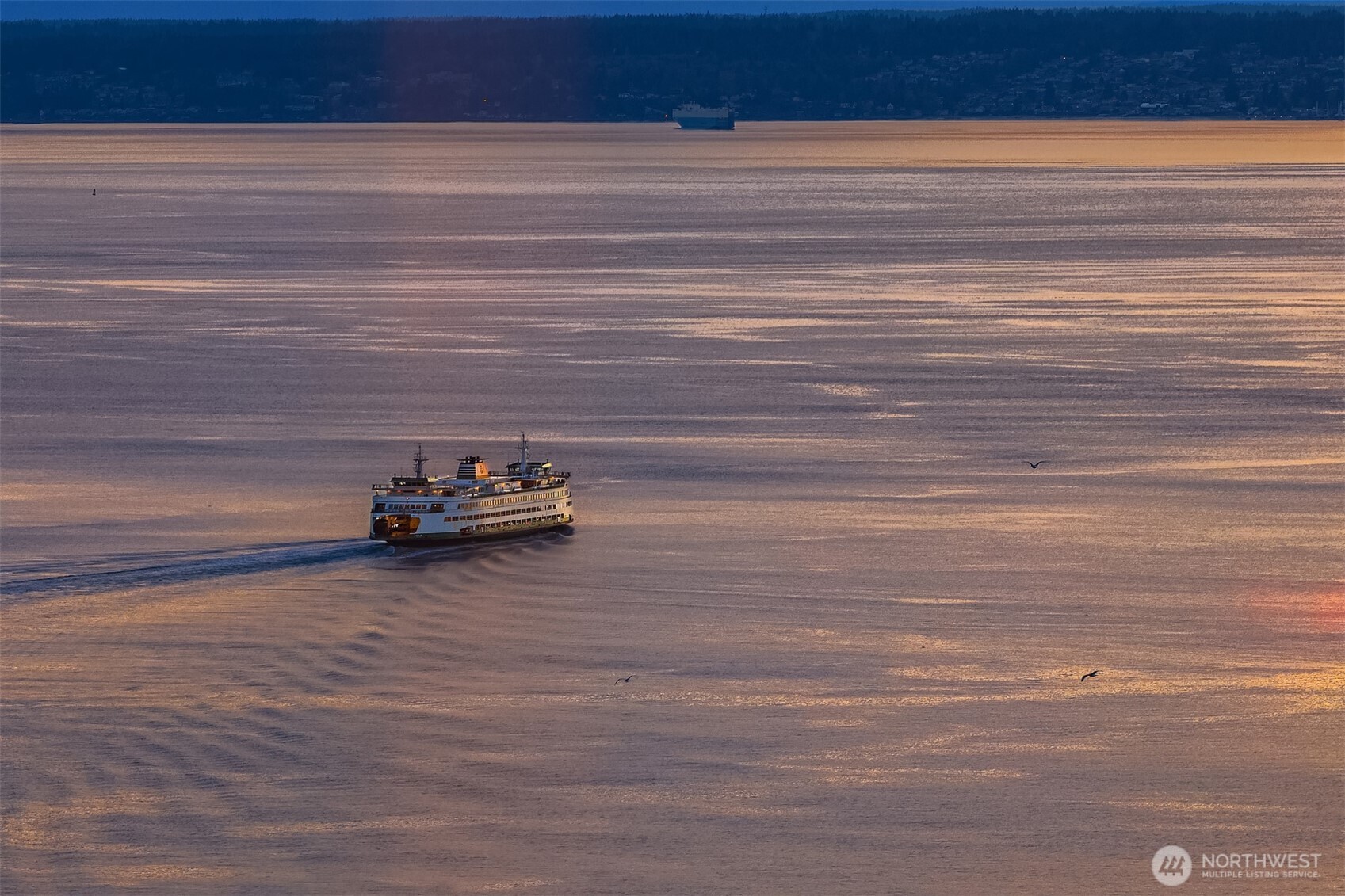 583 Battery Street #3406N, Seattle, WA 98121