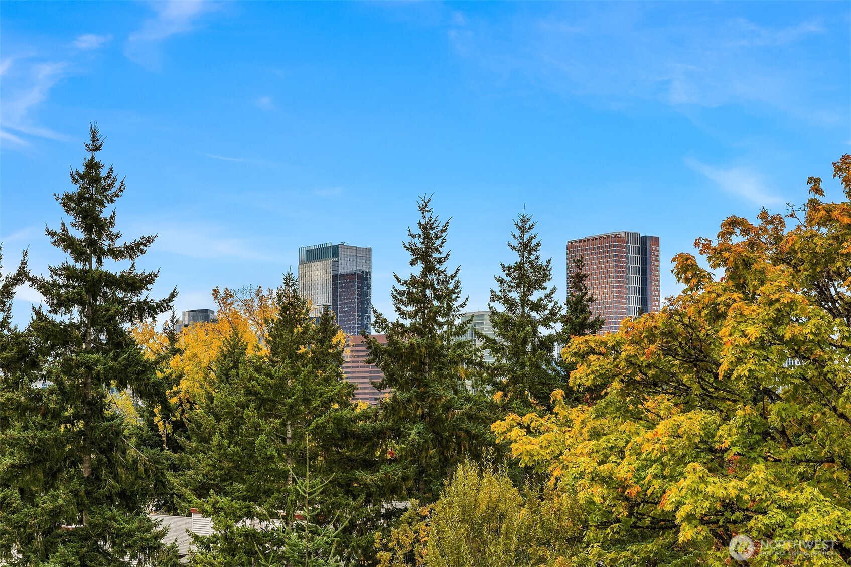 286 118th Avenue SE, Bellevue, WA 98005