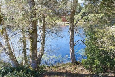 779 Albion Avenue SE, Ocean Shores, WA 98569 - Photo 8