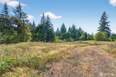 308 Daves View Drive , Kalama, WA 98625