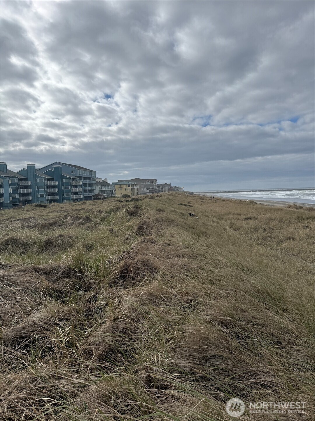 1307 Ocean Shores Blvd Boulevard SW #N14, Ocean Shores, WA 98569