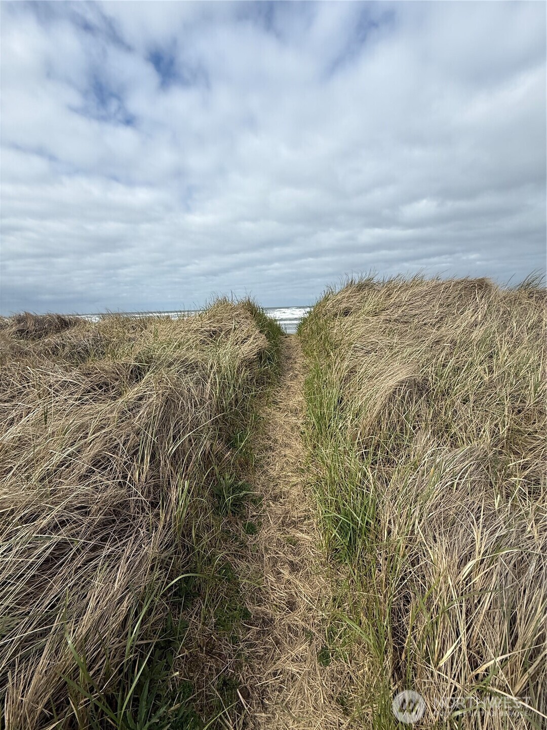 1307 Ocean Shores Blvd Boulevard SW #N14, Ocean Shores, WA 98569