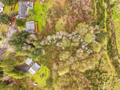 2411 Lakeview Court SW, Olympia, WA 98512 - Photo 13