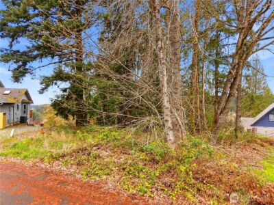 2411 Lakeview Court SW, Olympia, WA 98512 - Photo 17