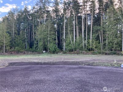 81 Butterfly Lane , Sequim, WA 98382 - Photo 4