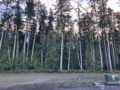 81 Butterfly Lane , Sequim, WA 98382 - Photo 6