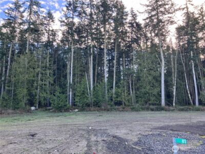 81 Butterfly Lane , Sequim, WA 98382 - Photo 8