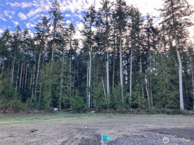 81 Butterfly Lane , Sequim, WA 98382 - Photo 9