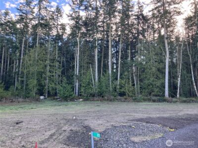 81 Butterfly Lane , Sequim, WA 98382 - Photo 10