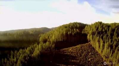 0 N US Highway 101 , Shelton, WA 98584