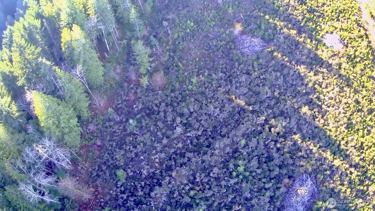 0 N US Highway 101 , Shelton, WA 98584