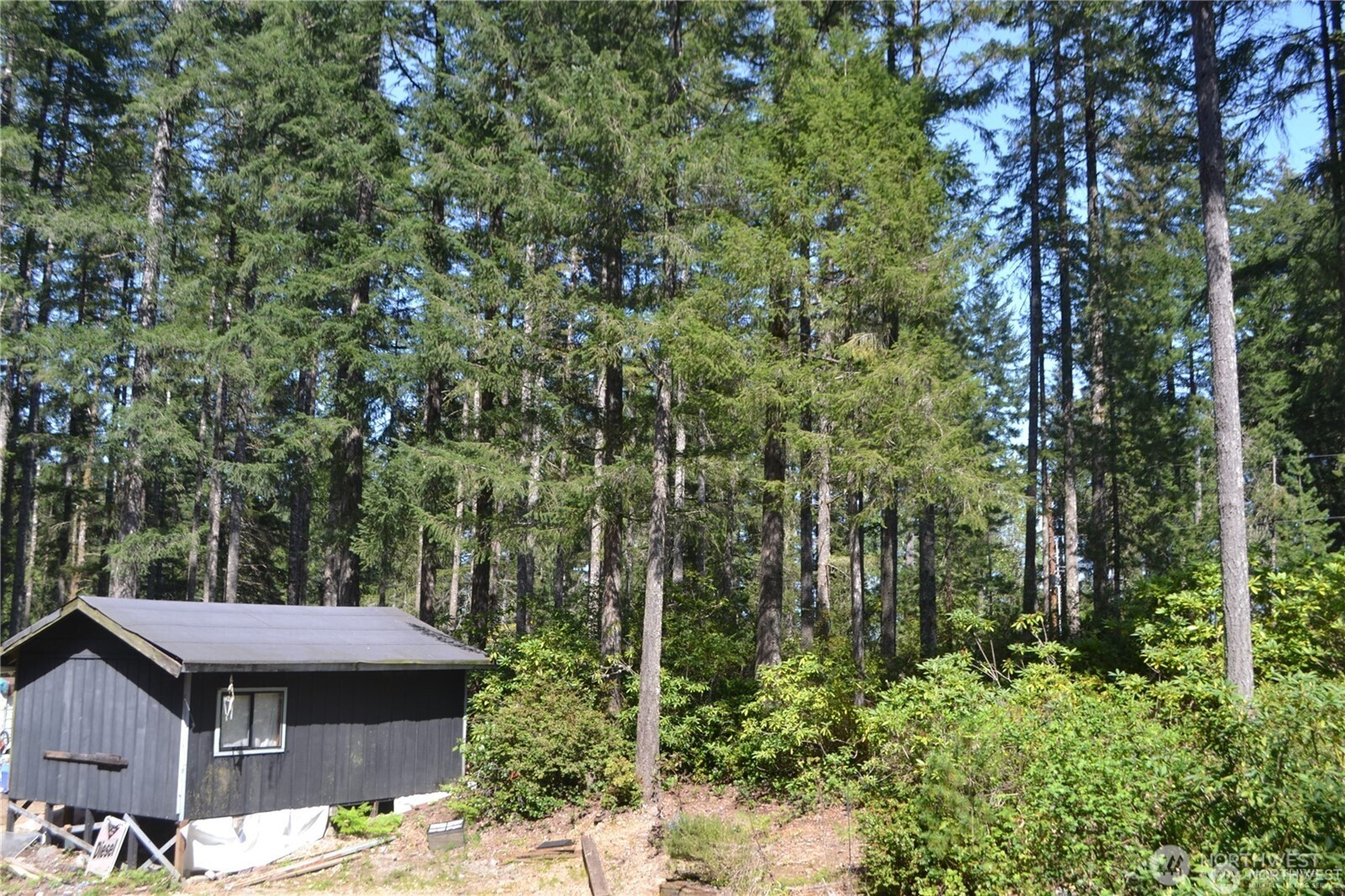 0 Lot #55 NE Collins (80 Collins Dr.) Drive , Tahuya, WA 98588