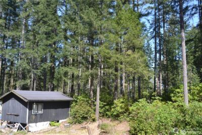 0 Lot #55 NE Collins (80 Collins Dr.) Drive , Tahuya, WA 98588 - Photo 1
