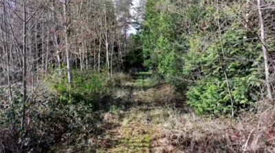 8383 Bridge Way , Blaine, WA 98230 - Photo 4