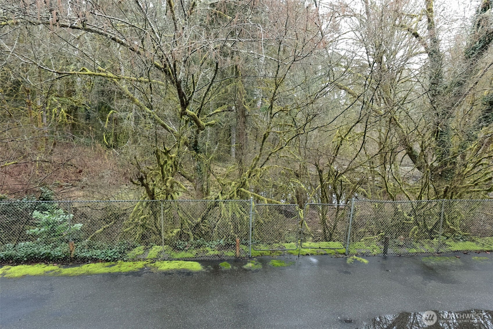 2929 60th Avenue SE #A, Olympia, WA 98501