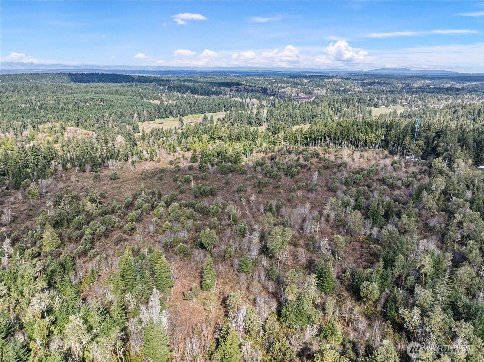 17908 16th Street SW, Lakebay, WA 98349