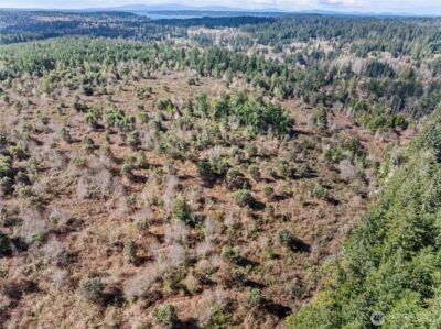 17908 16th Street SW, Lakebay, WA 98349 - Photo 2