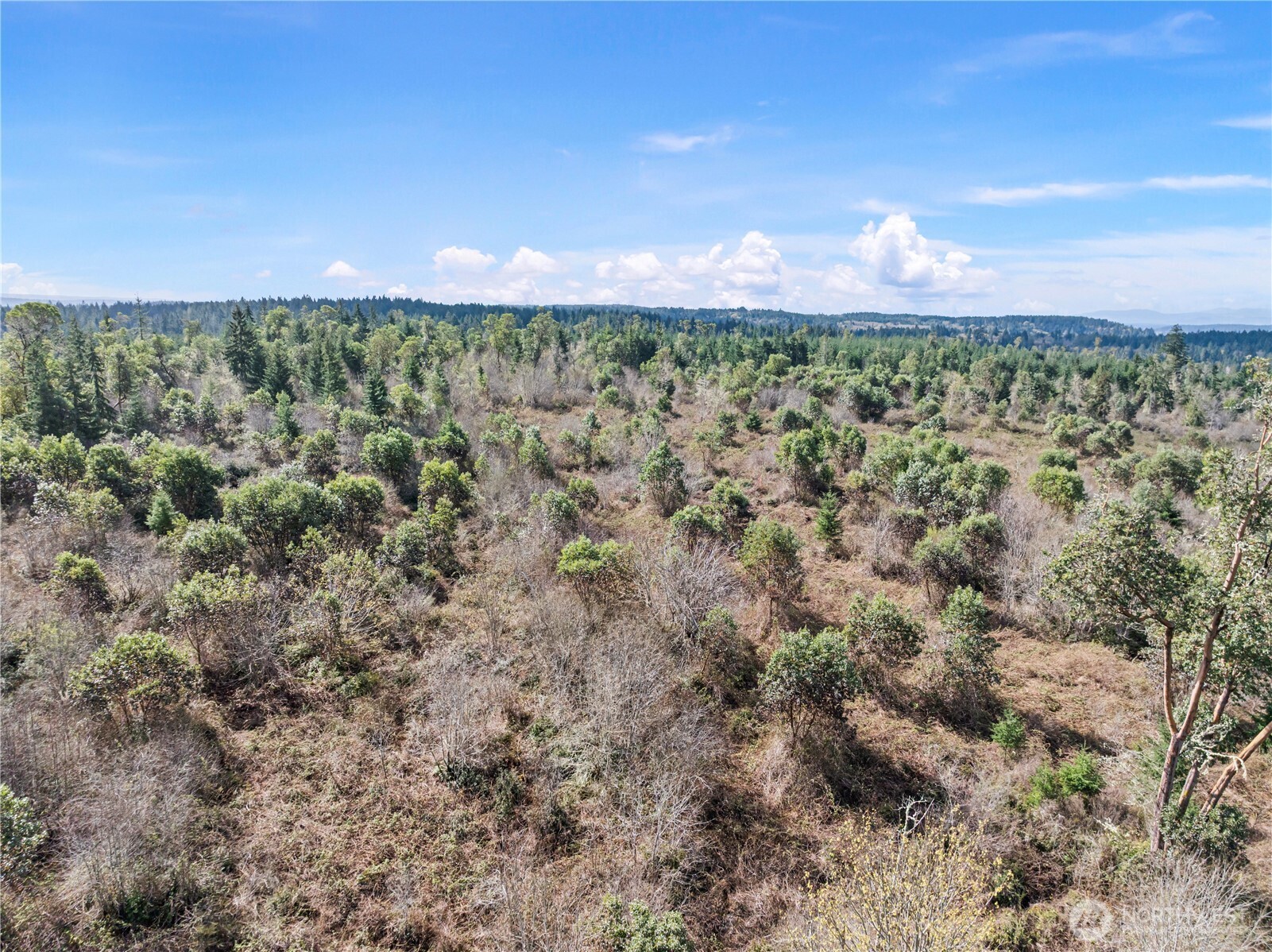 17908 16th Street SW, Lakebay, WA 98349