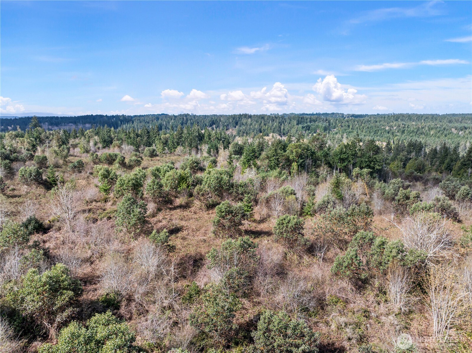 17908 16th Street SW, Lakebay, WA 98349