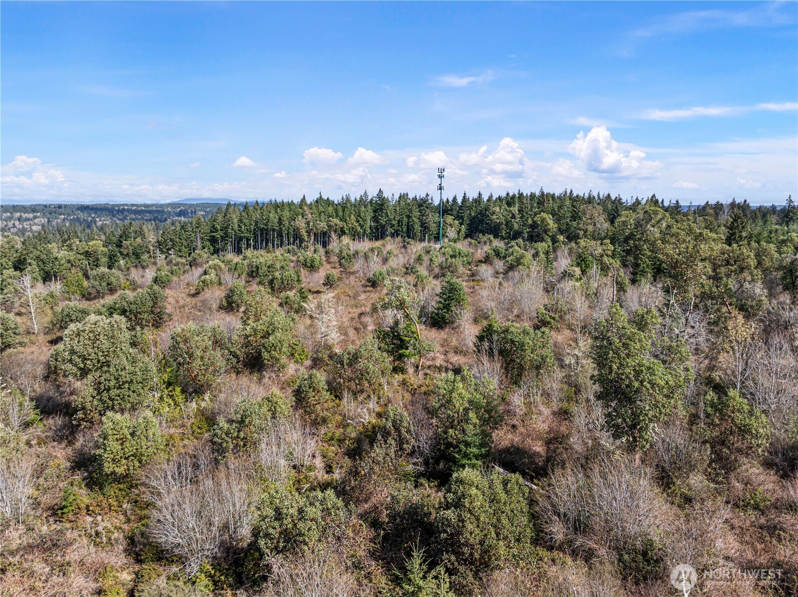 17908 16th Street SW, Lakebay, WA 98349