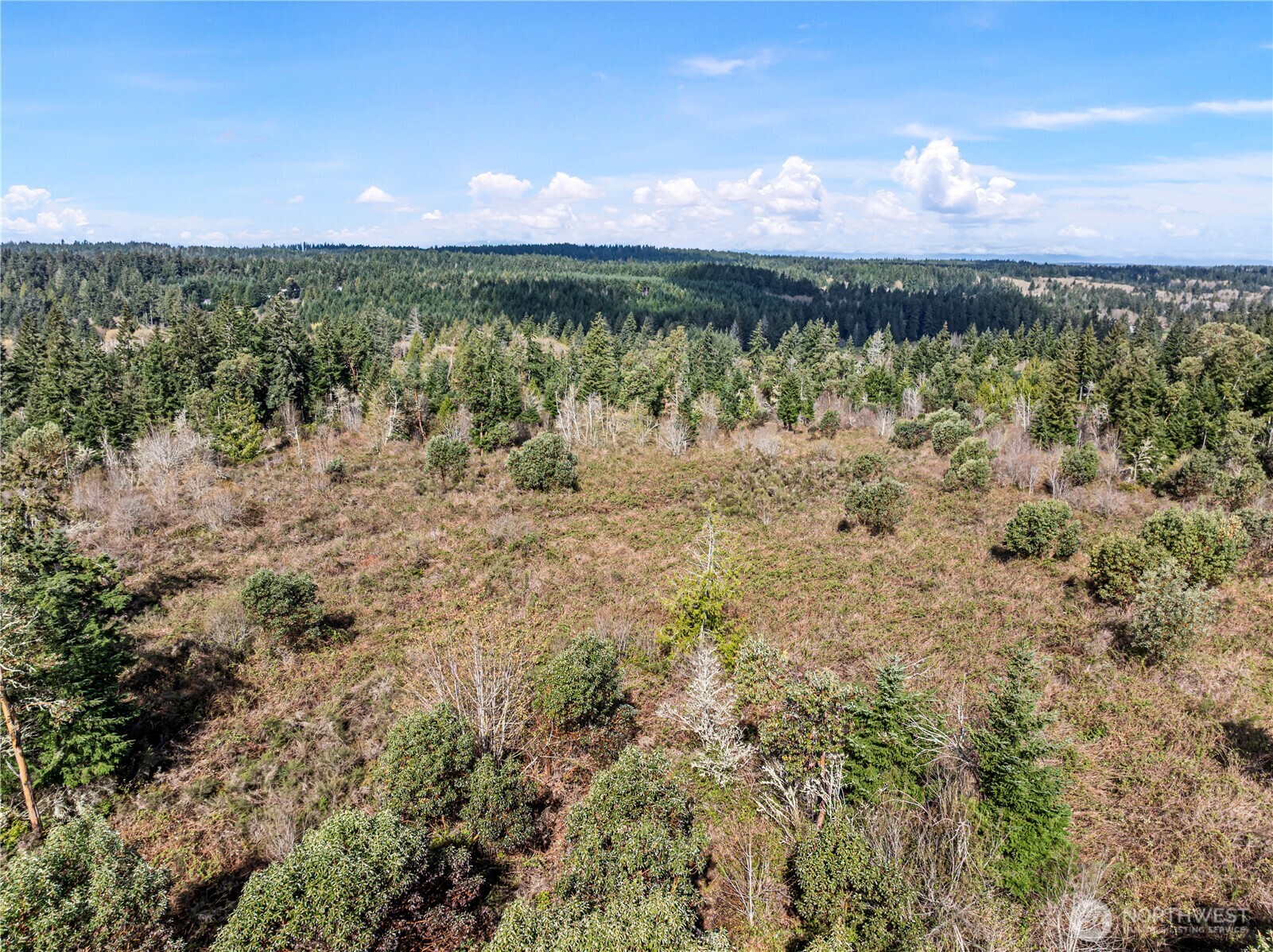 17908 16th Street SW, Lakebay, WA 98349