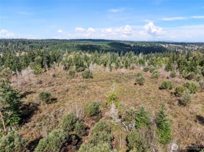 17908 16th Street SW, Lakebay, WA 98349 - Photo 7