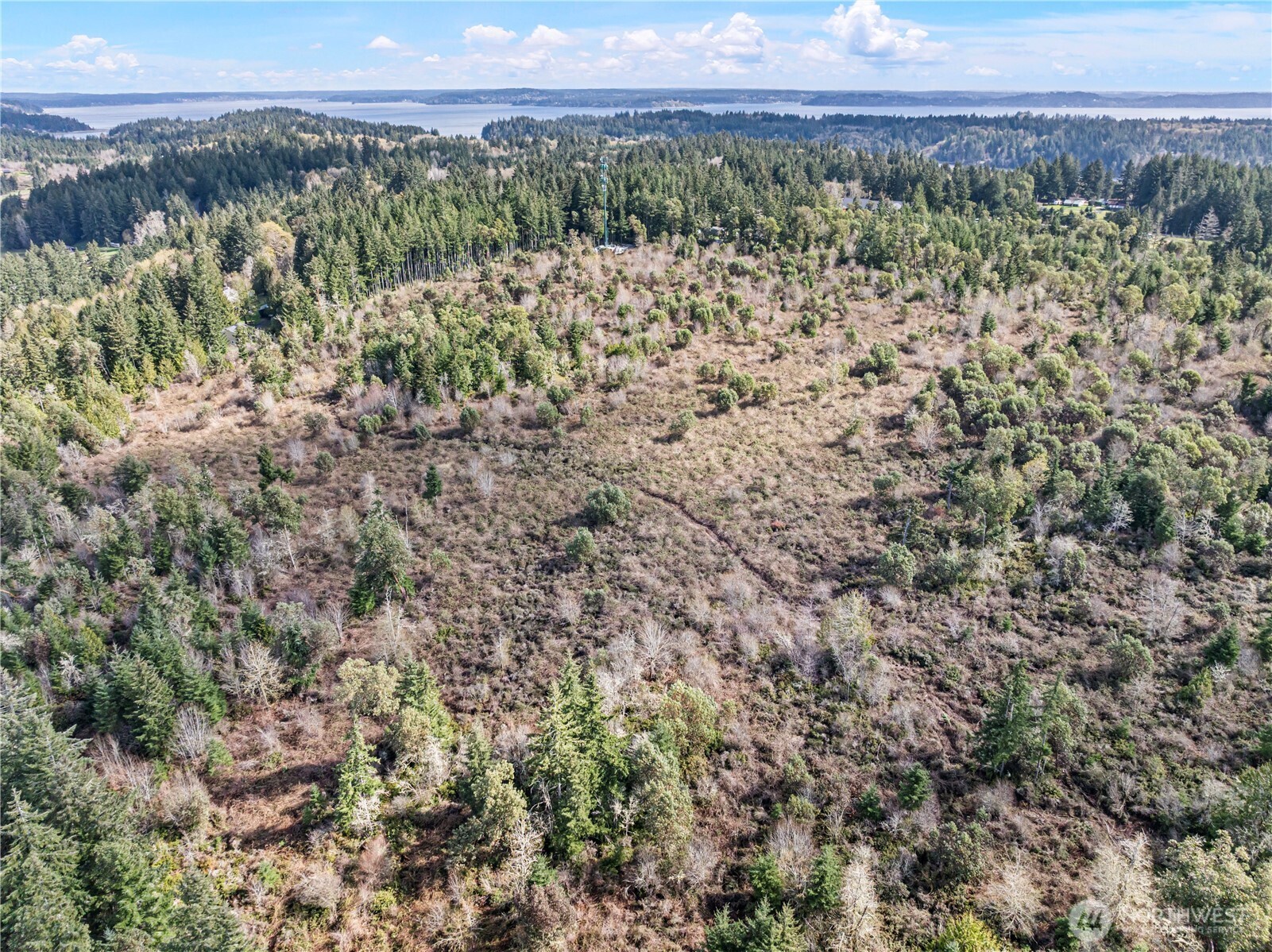 17908 16th Street SW, Lakebay, WA 98349