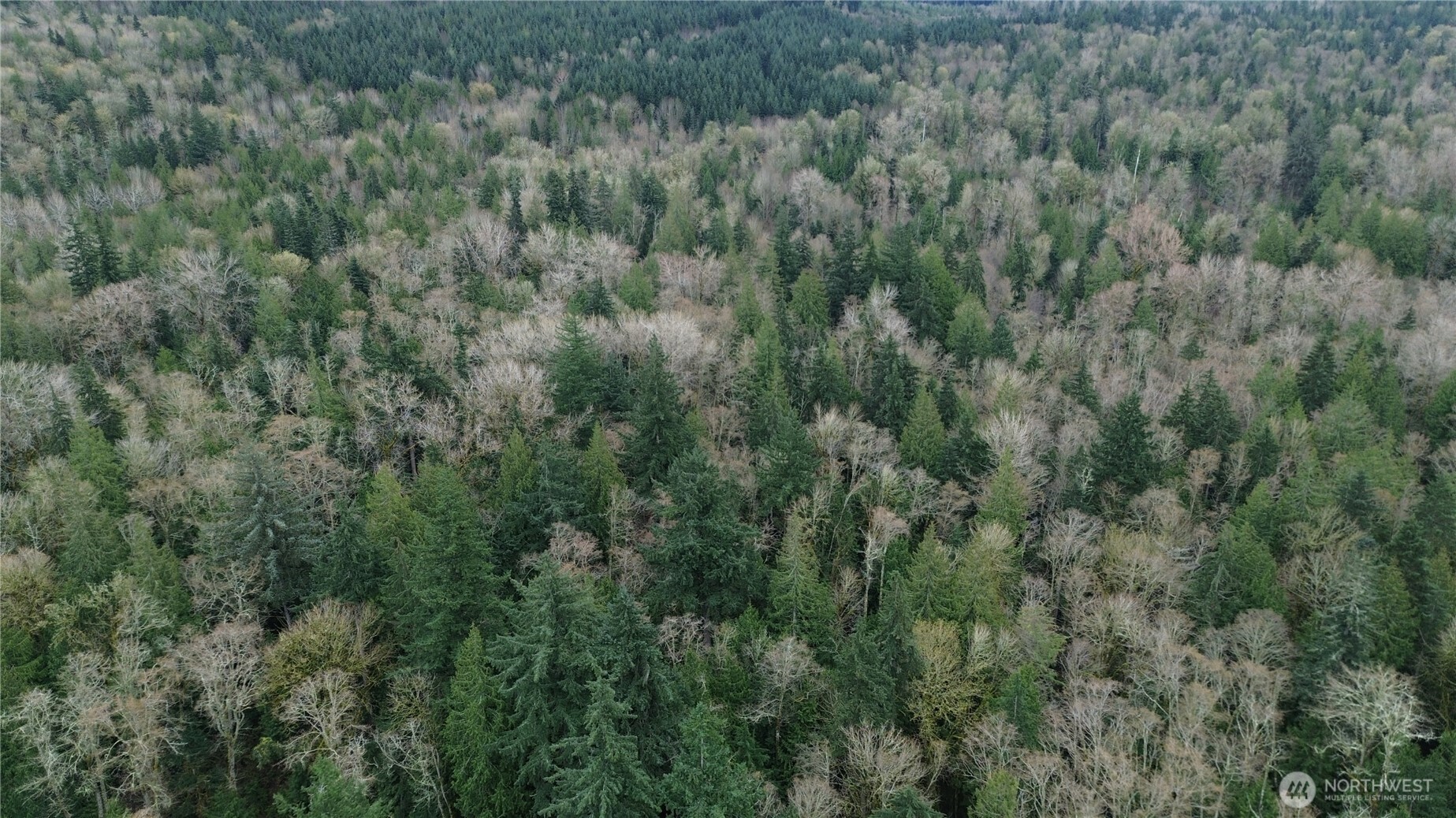 9 E Street , Bellingham, WA 98225