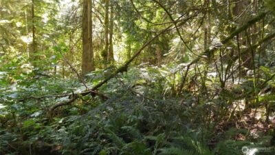 9 E Street , Bellingham, WA 98225 - Photo 3