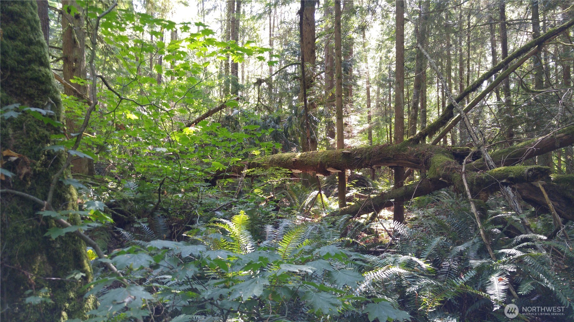 9 E Street , Bellingham, WA 98225