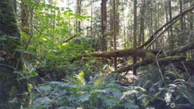 9 E Street , Bellingham, WA 98225 - Photo 4