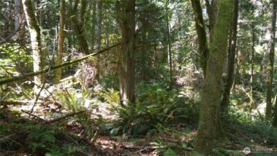 9 E Street , Bellingham, WA 98225 - Photo 5