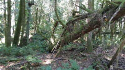 9 E Street , Bellingham, WA 98225 - Photo 6