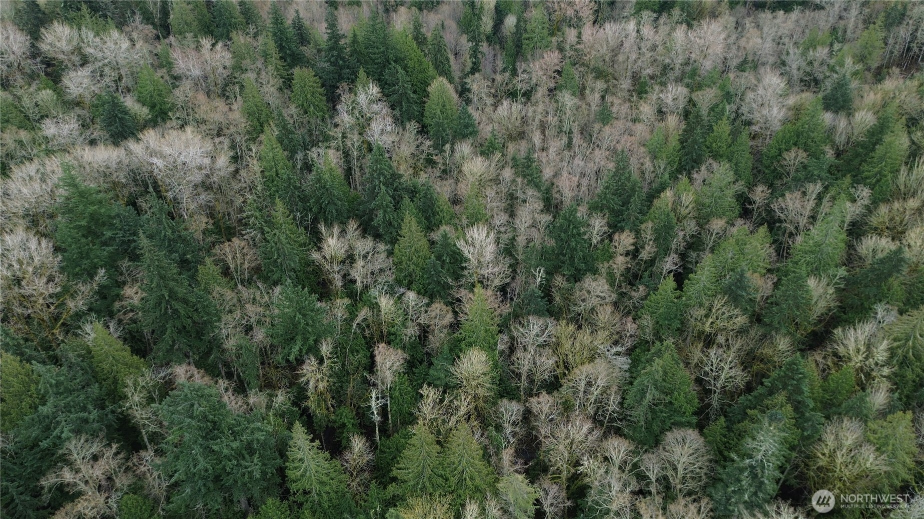 9 E Street , Bellingham, WA 98225