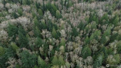 9 E Street , Bellingham, WA 98225 - Photo 7