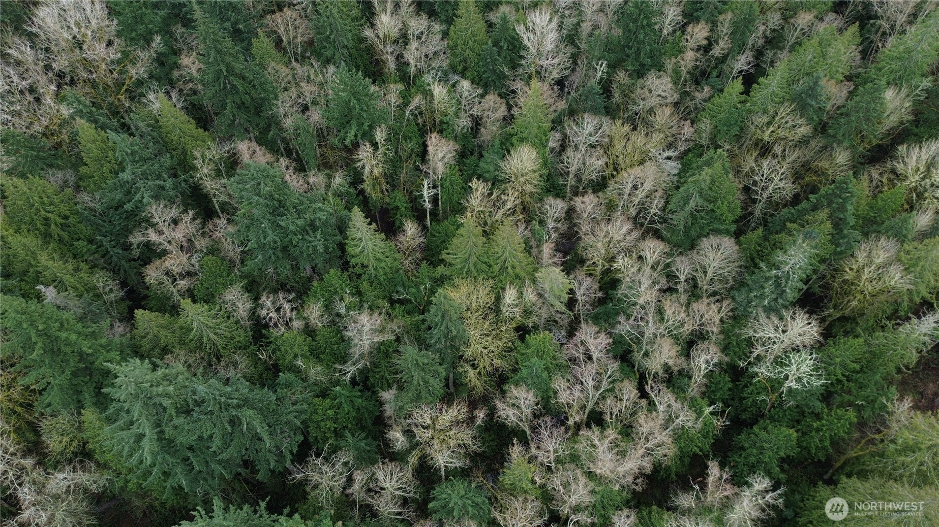 9 E Street , Bellingham, WA 98225