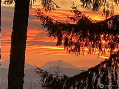 160 Northridge Drive , Centralia, WA 98531 - Photo 31