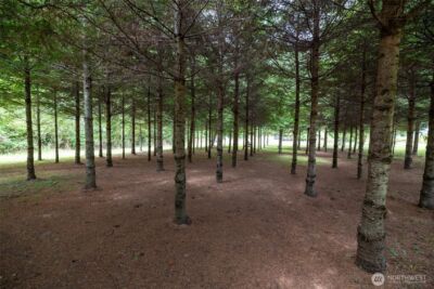 160 Northridge Drive , Centralia, WA 98531 - Photo 33