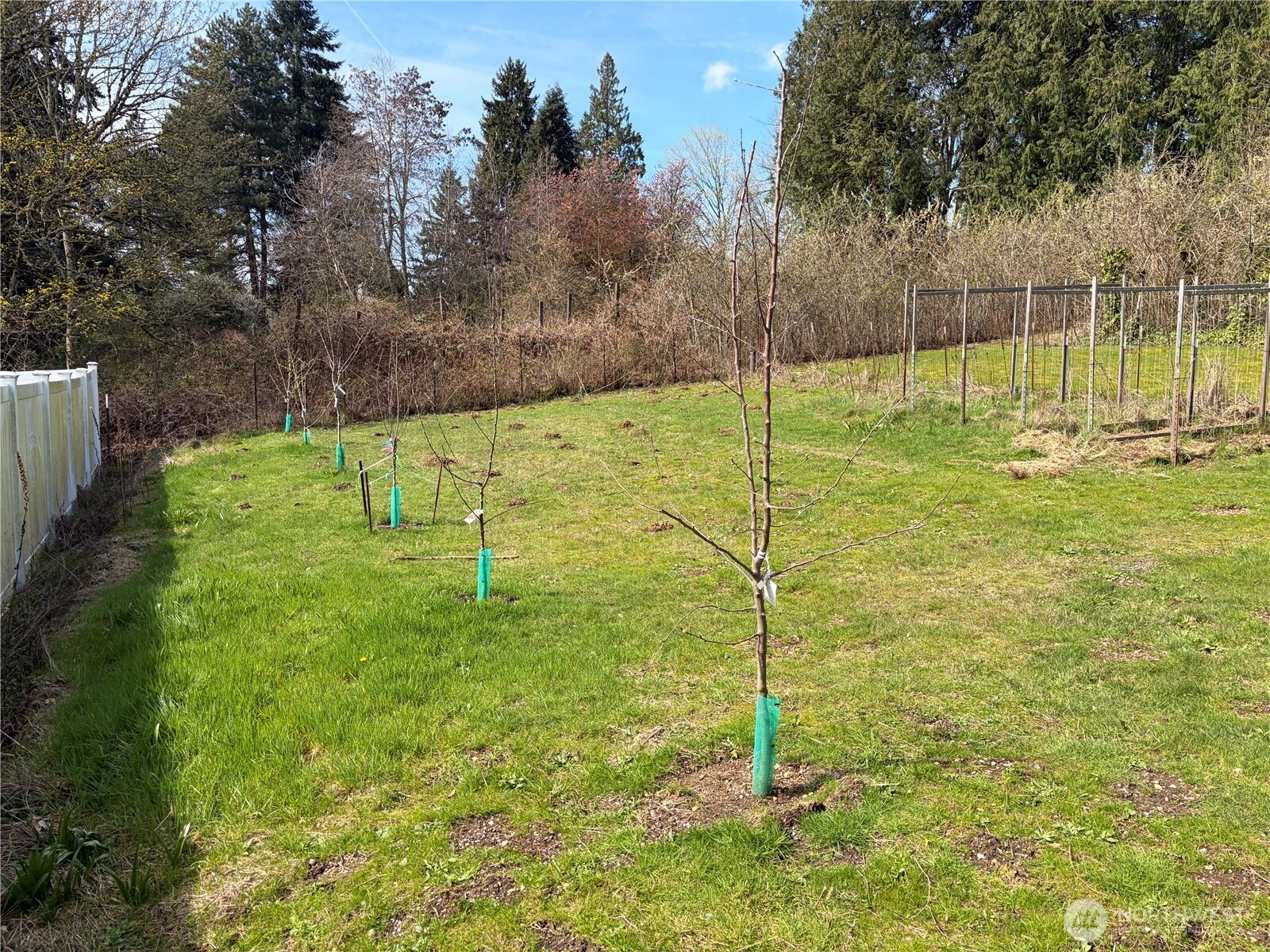 7411 S Langston Road , Seattle, WA 98178