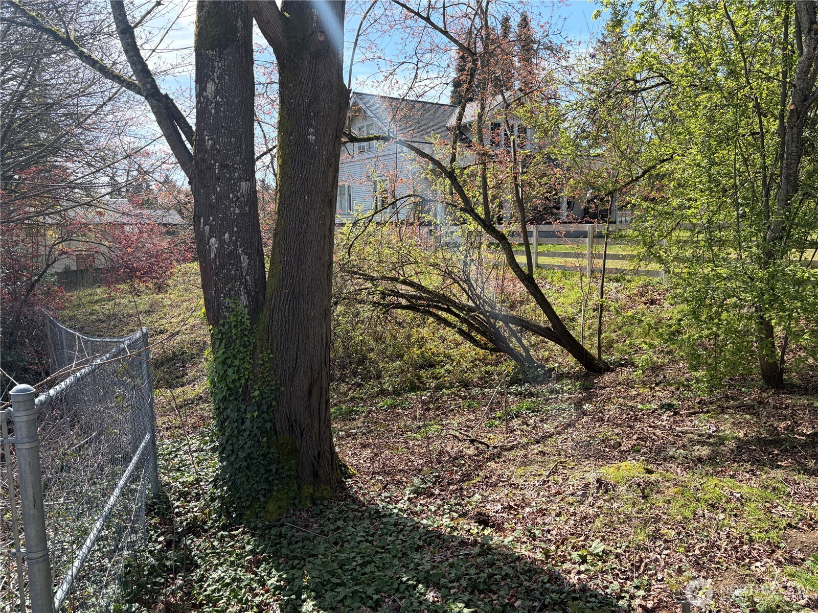 7411 S Langston Road , Seattle, WA 98178