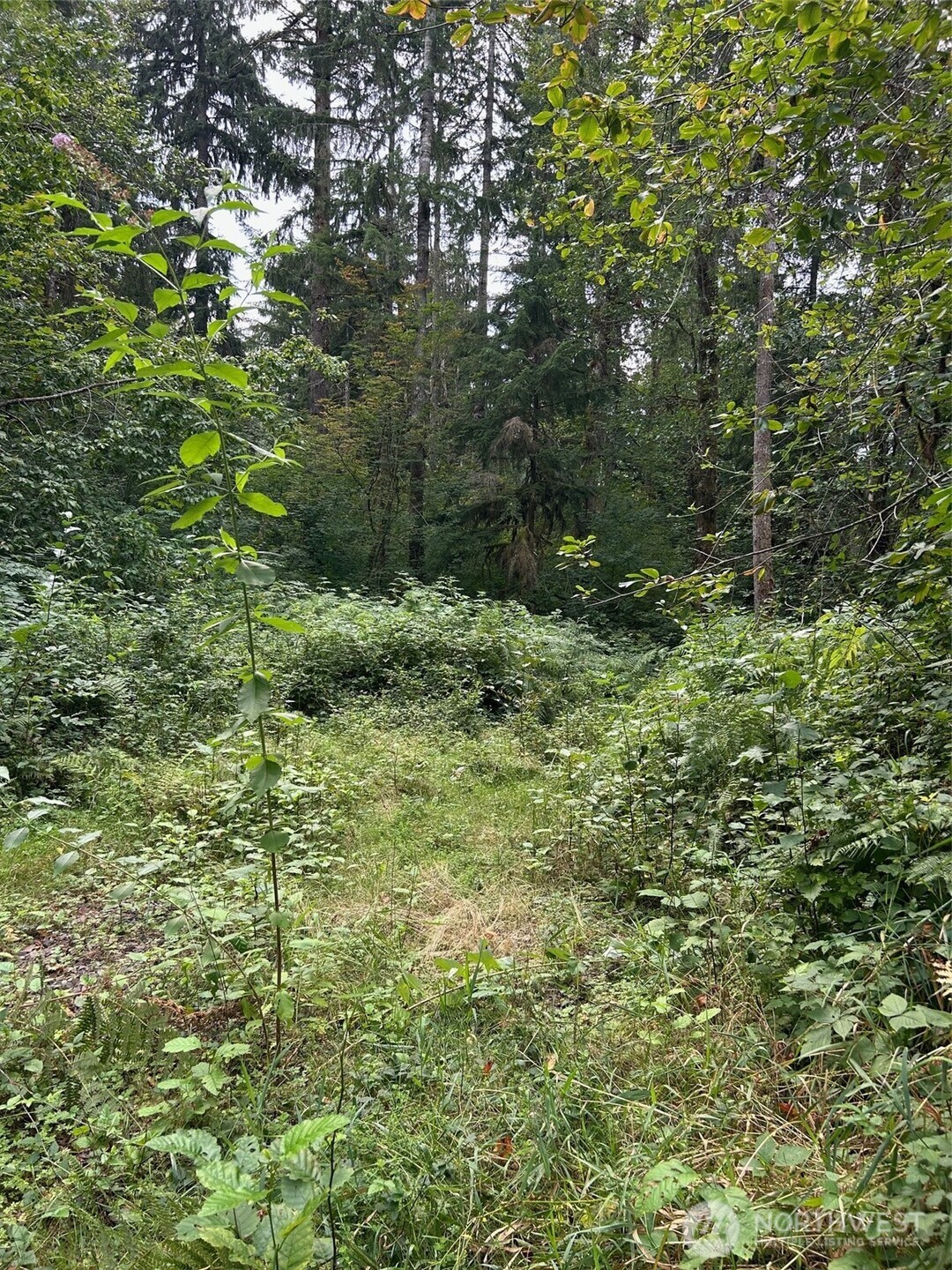 13863 351st Avenue NE, Duvall, WA 98019