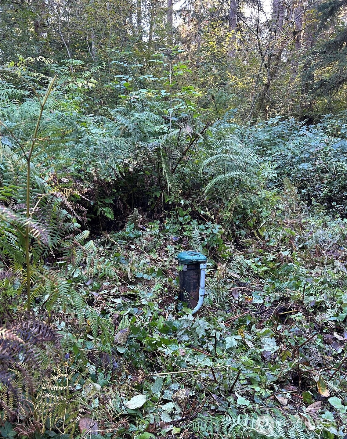 13863 351st Avenue NE, Duvall, WA 98019