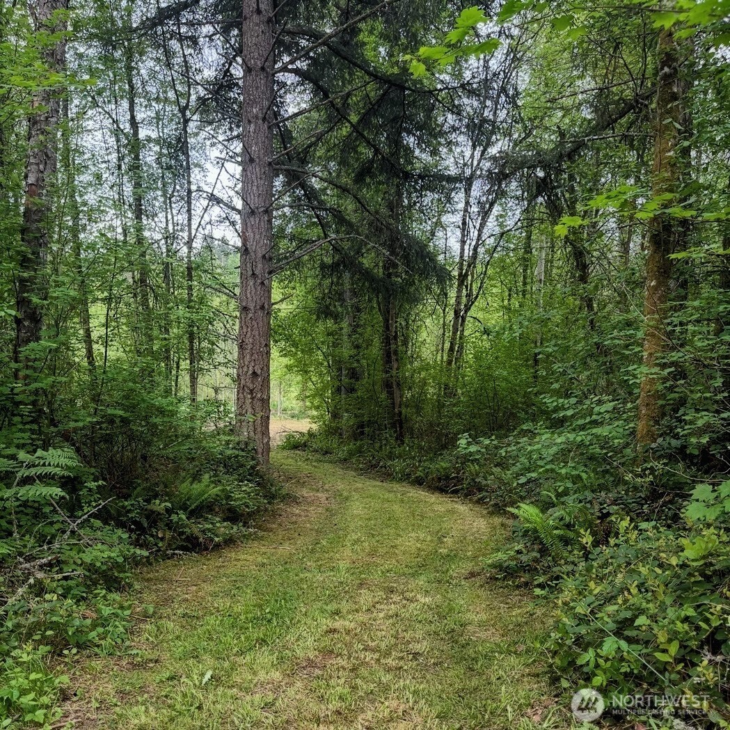 34323 Tanwax Drive E, Eatonville, WA 98328