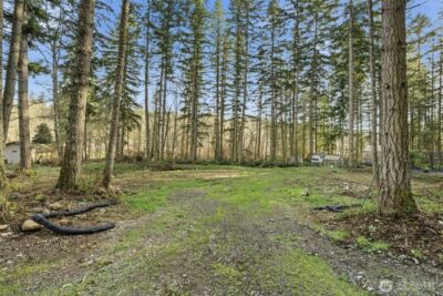 34323 Tanwax Drive E, Eatonville, WA 98328 - Photo 8