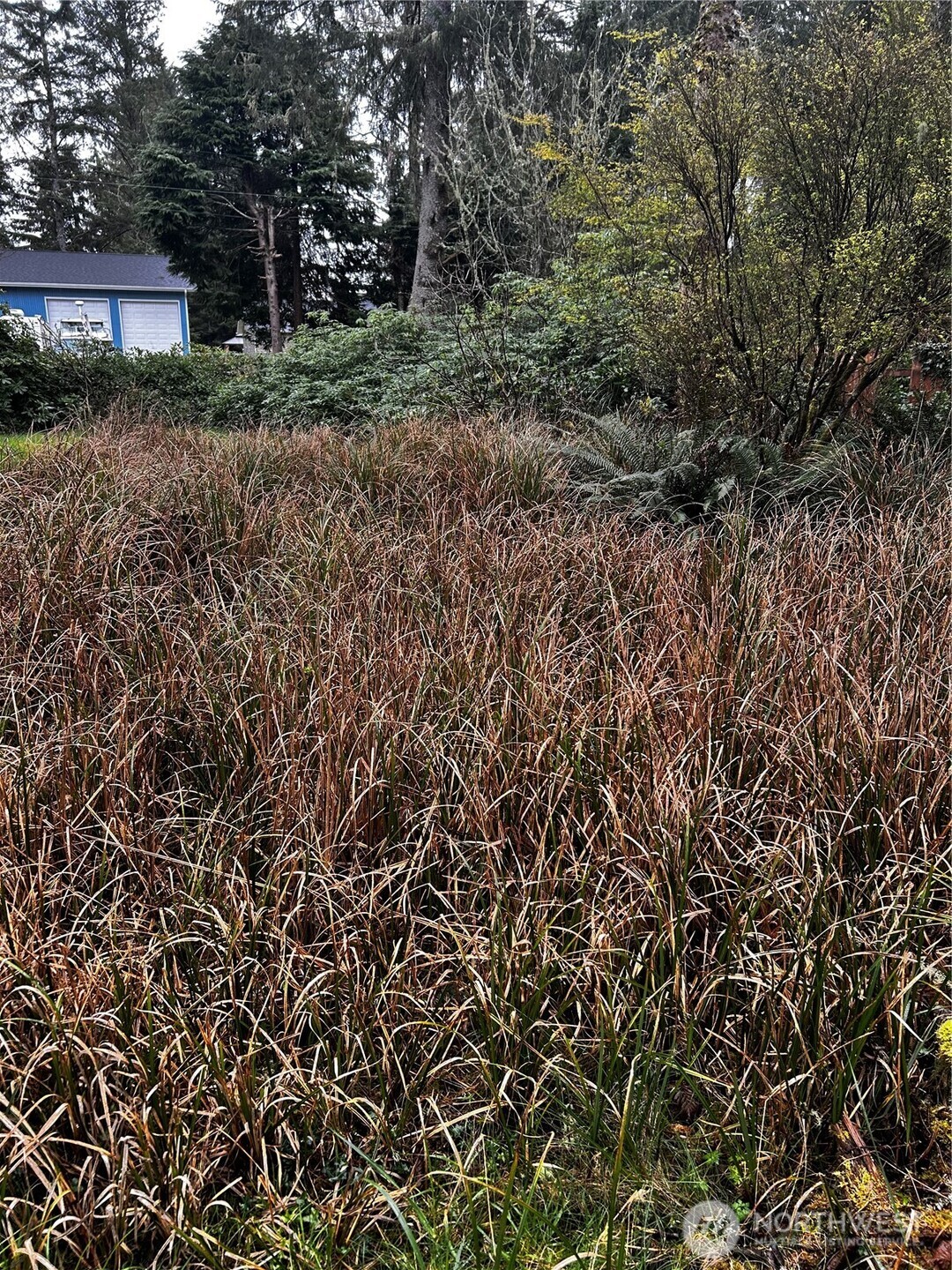 379 Eridani Loop SE, Ocean Shores, WA 98569-9779