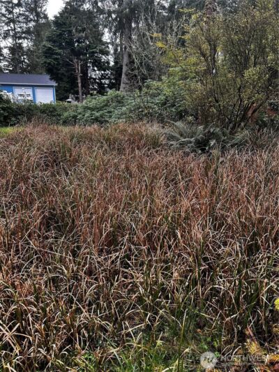 379 Eridani Loop SE, Ocean Shores, WA 98569-9779 - Photo 2